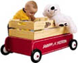 radio flyer toy tote
