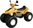 kids quad bike